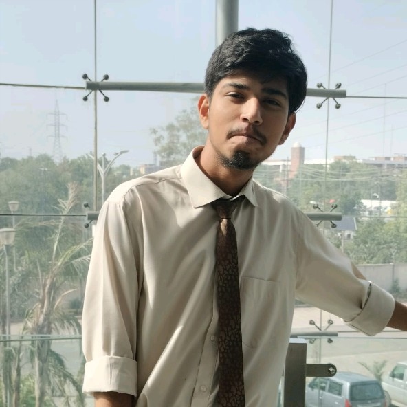 Ali Hamza