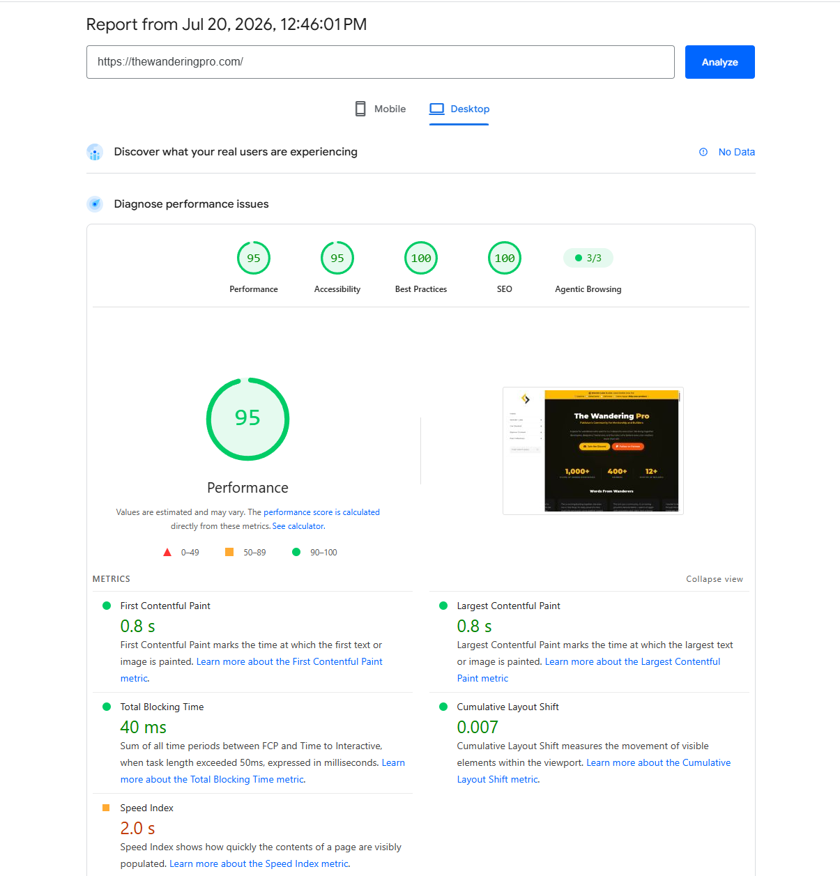 PageSpeed Insights report for thewanderingpro.com showing 100 SEO, 100 Best Practices, 95 Performance, 95 Accessibility